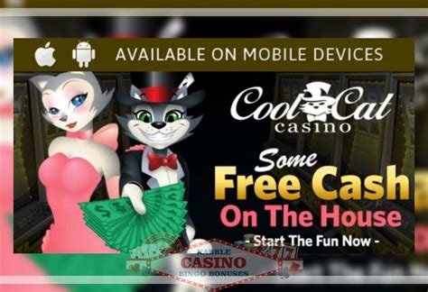  cool cat casino 100 no deposit